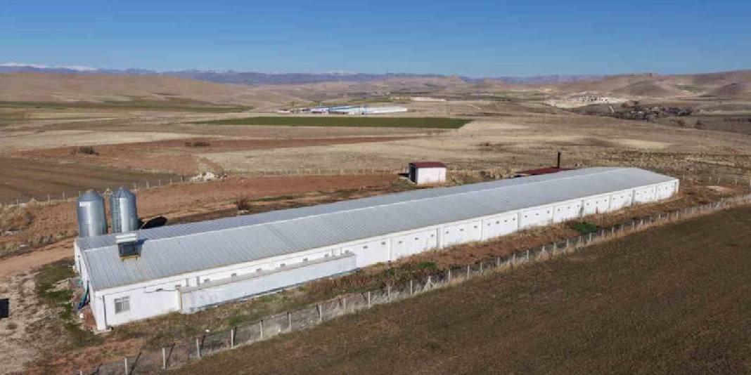 Devlet desteğiyle ikinci çiftliğini açtı: Yılda 360 ton beyaz et sağlıyor 7